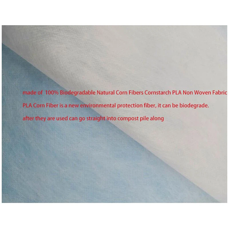 pla nonwoven fabric bag-detail-01