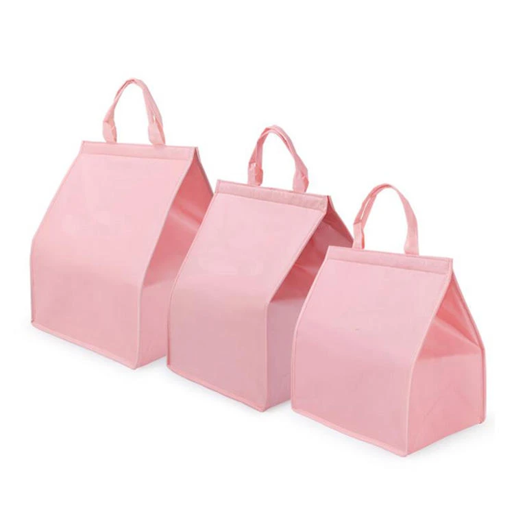 Foldable Insulated Non Woven lunch bag-main-01