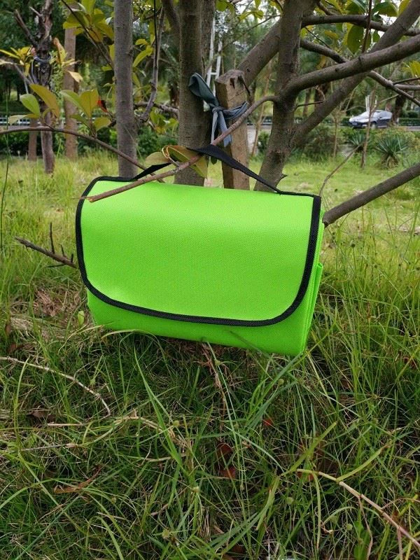 Foldable Padded Beach Mat